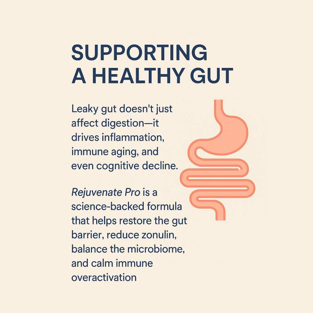 Foundations of Gut Health: What You Should Know About Building a Resilient Digestive System