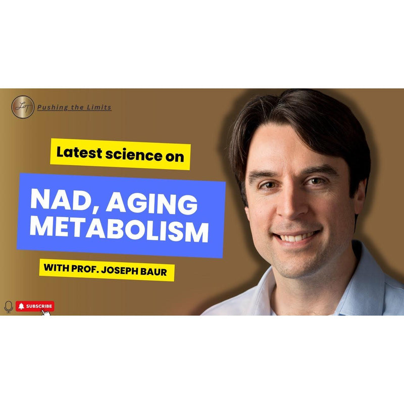 Lisa Tamati interviews Professor Baur on NAD and longevity - Pushing the Limits Podcast