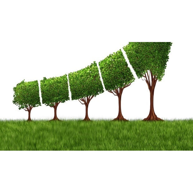 The move towards Enlightened economics - Pushing The Limits Podcast