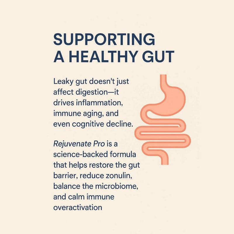 Foundations of Gut Health: What You Should Know About Building a Resilient Digestive System