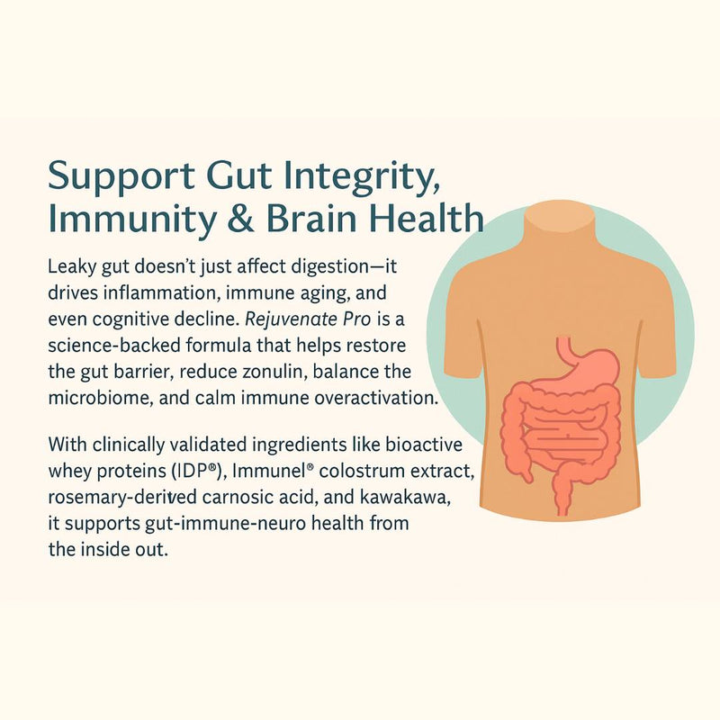 The Gut Barrier, Inflammation, and Immune Resilience: A New Frontier in Longevity Medicine