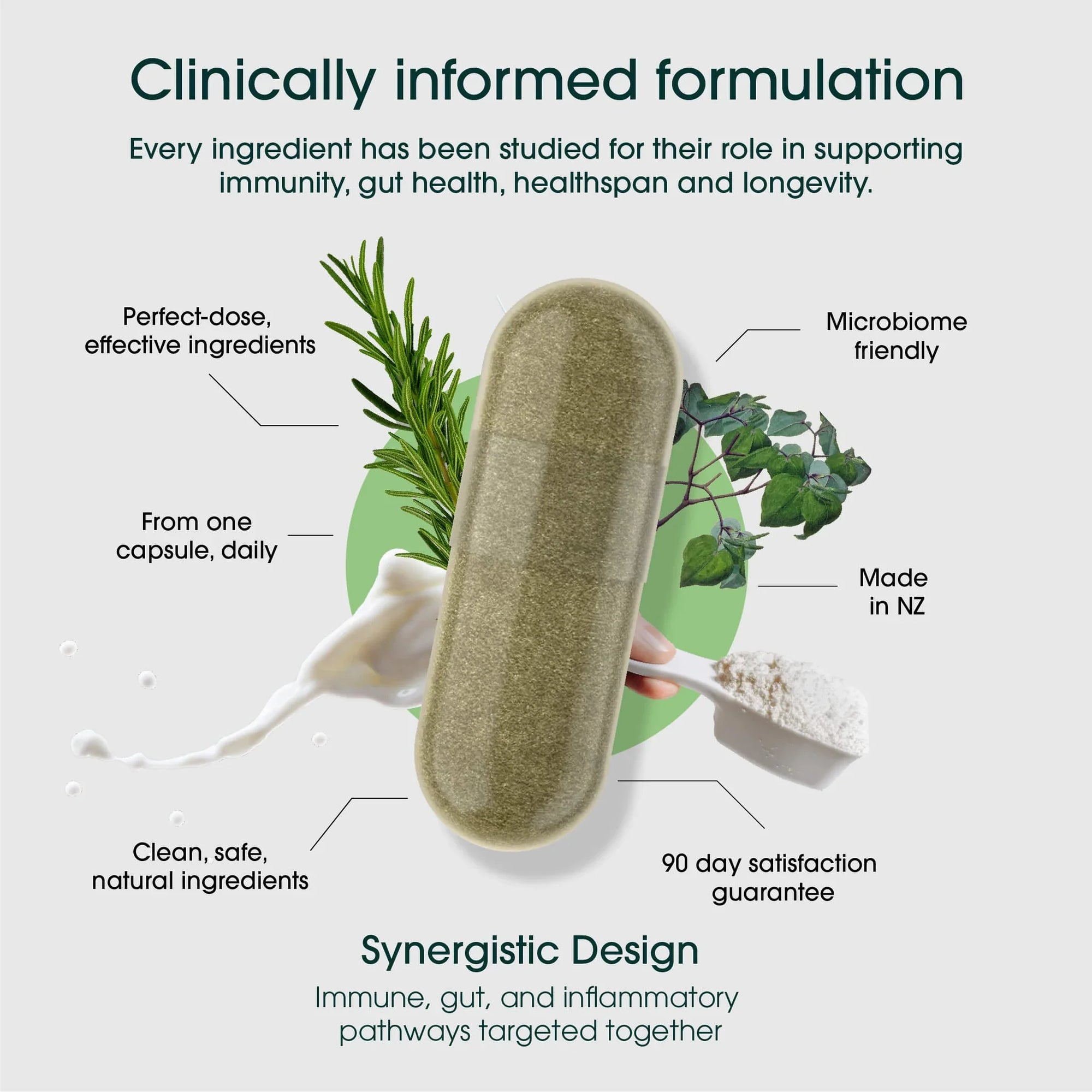 Rejuvenate Your Immune System: How Rejuvenate Pro Targets Immunosenescence and Aging Pathways