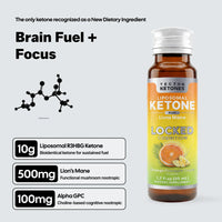 Tecton - Locked Cognition - 8 pack