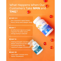NMN Bio and TMG supplement bottles with 28-day timeline showing focus, energy, endurance and metabolism benefits