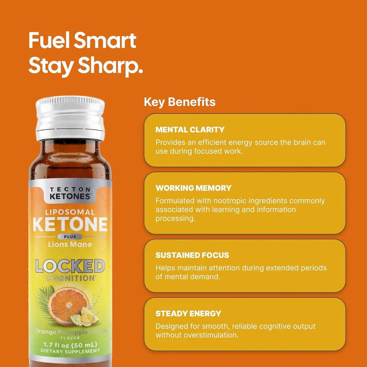 Tecton - Locked Cognition - 8 pack