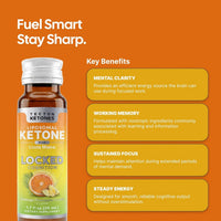 Tecton - Locked Cognition - 8 pack