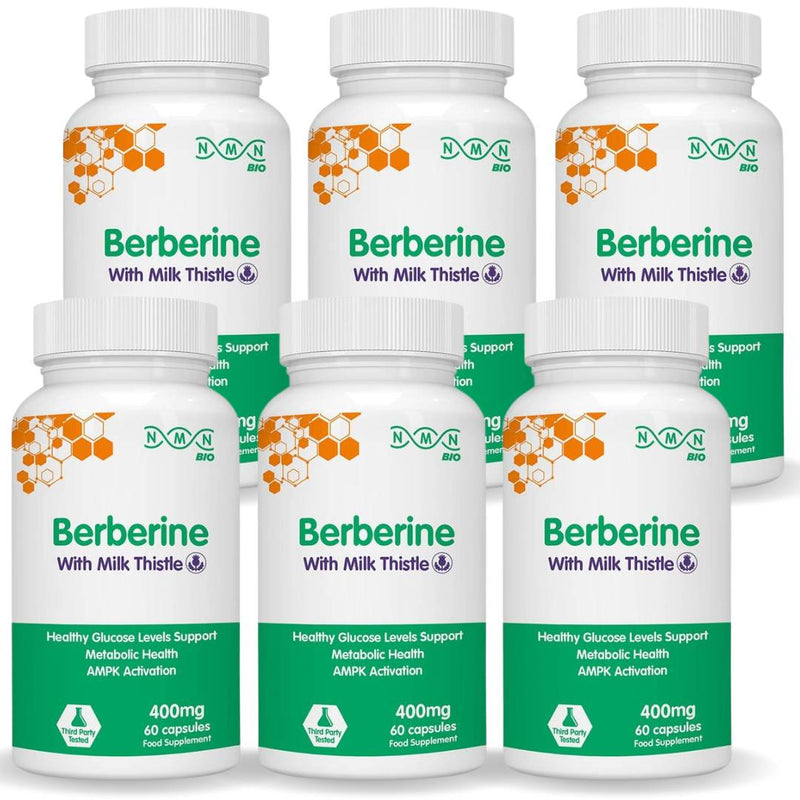 NMNBio Berberine 6-bottle bundle, 400mg with Milk Thistle, 60 capsules each for blood sugar balance and liver health
