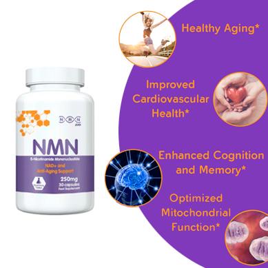 NMN Bio NMN buy UK Dr Elena Seranova Nicotinamide Mononucleotide Can NMN reverse aging Buy NMN UK Anti-Aging Longevity High Purity NMN