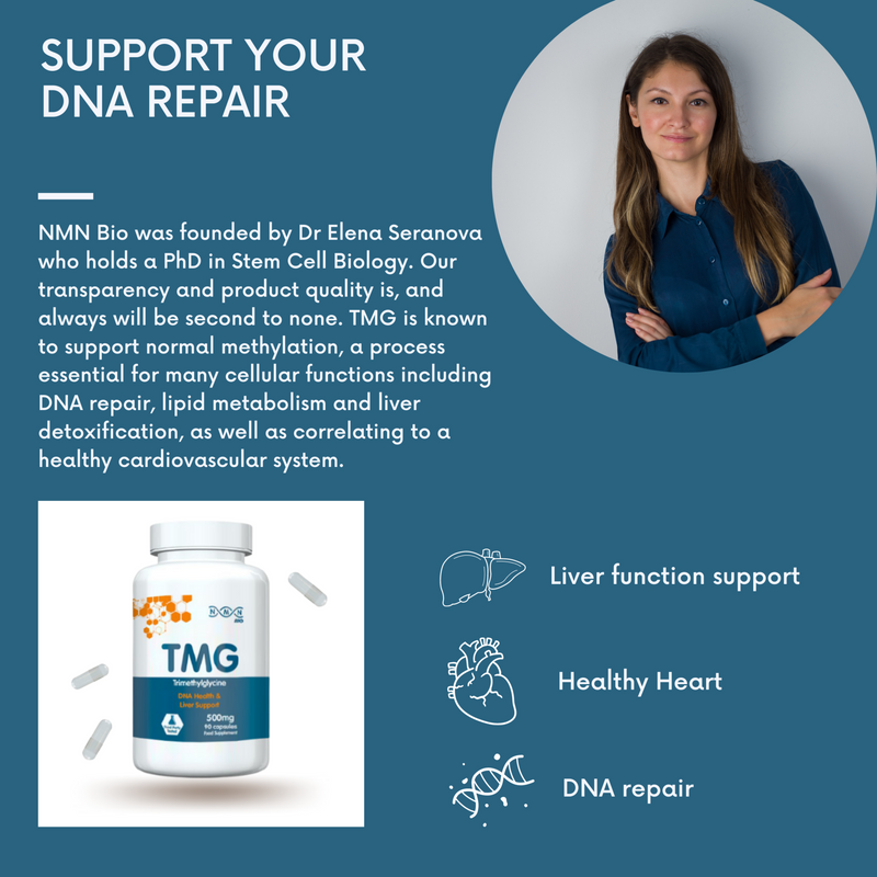 TMG (Trimethylglycine) | 500 mg | 90 Capsules