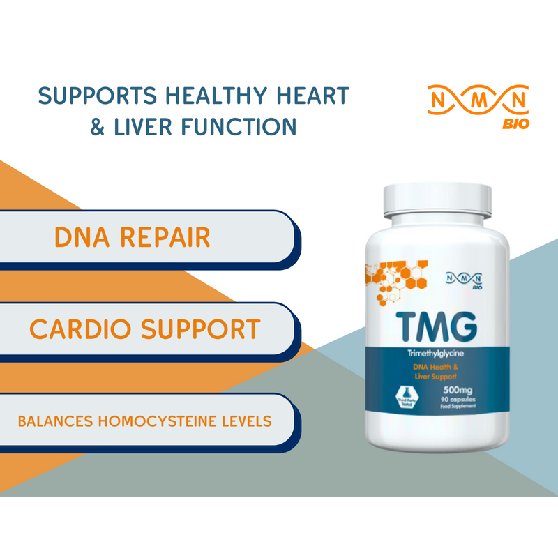 TMG (Trimethylglycine) | 500 mg | 90 Capsules